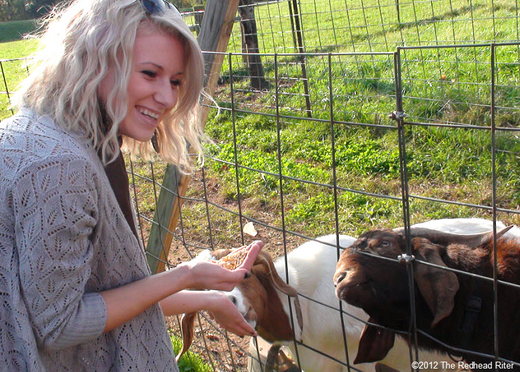 Alyssa at Graves Mountain feeding goats