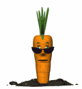 carrot guy
