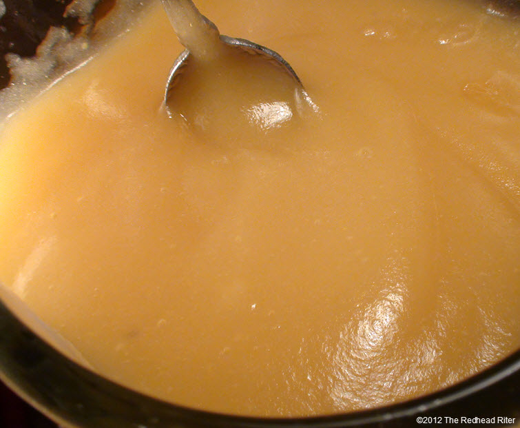 smooth sweet apple sauce blender 6