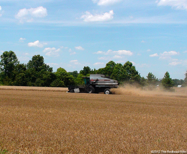 combine harvester harvesting wheat field 4