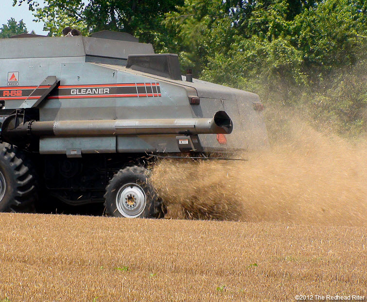 combine harvester harvesting wheat field 6
