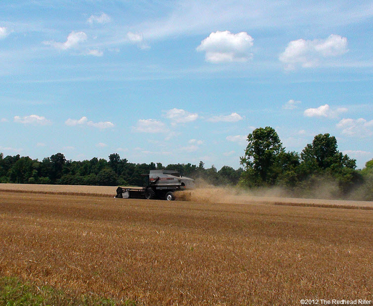 combine harvester harvesting wheat field 7