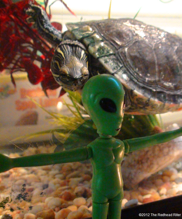 Turtle with the green alien
