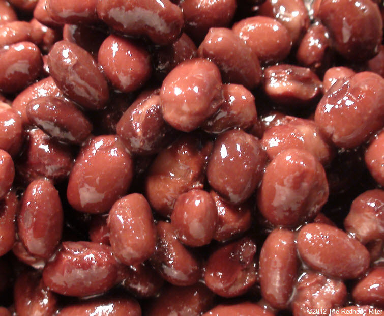 cooked pinto beans 15
