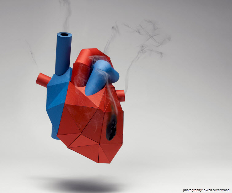 KyleBean anatomical heart paper art