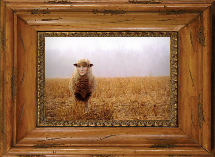 lamb dried wheat field redhead