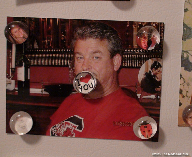 refrigerator photo and magnets