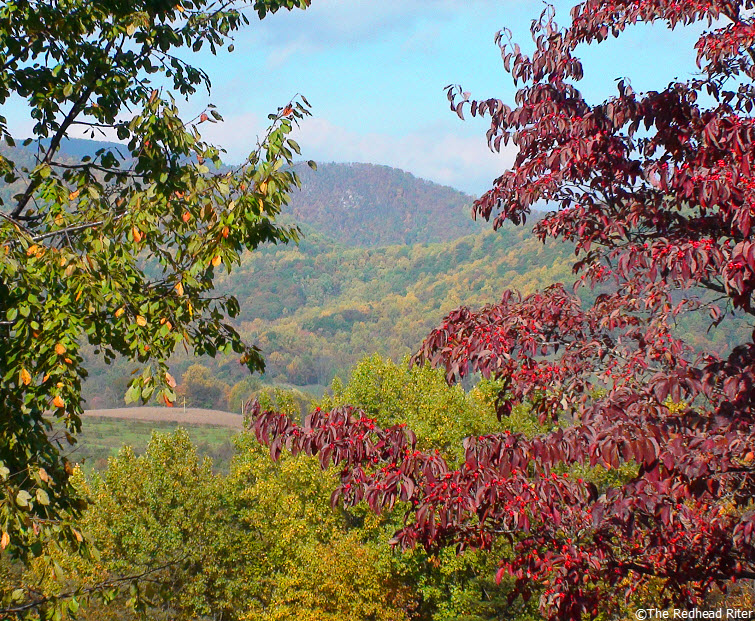syria virginia fall leaves mountain red