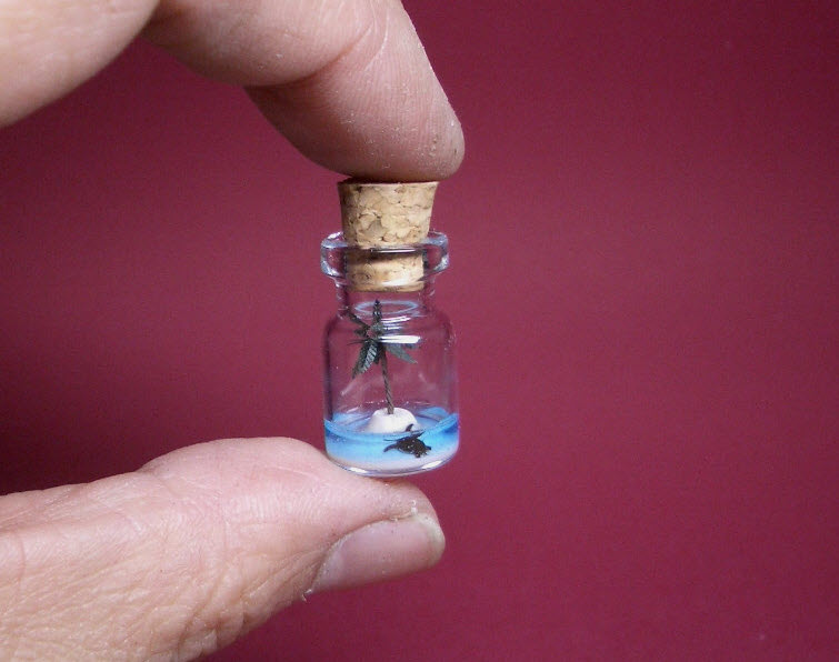 A turtle on island in a tiny bottle