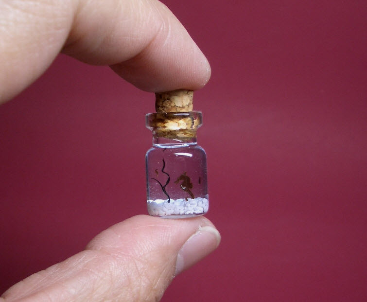 seahorse and babies in a tiny bottle