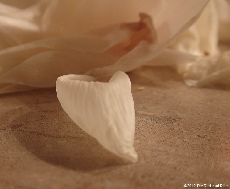 white dying flower petals