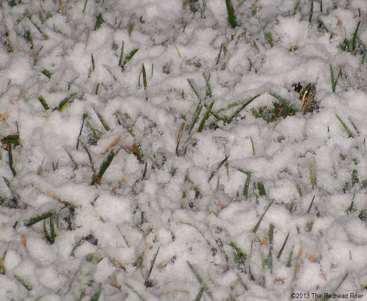grass peeking out of snow