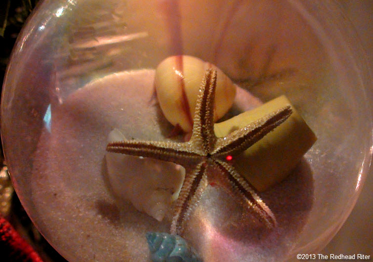 starfish shells sand glass globe