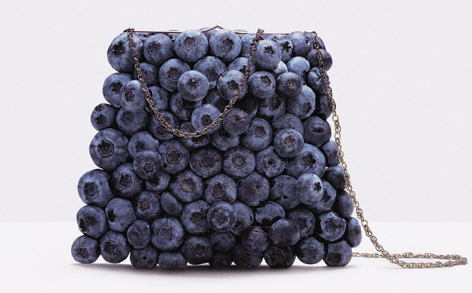 Fulvio Bonavia photographer blueberry purse