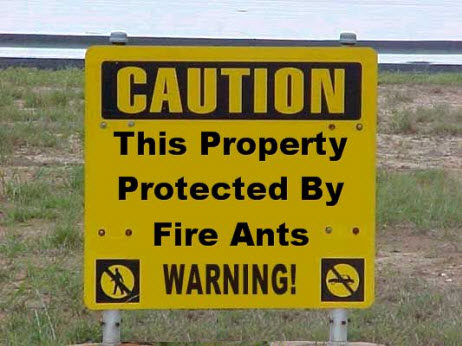 Texas caution fire ants