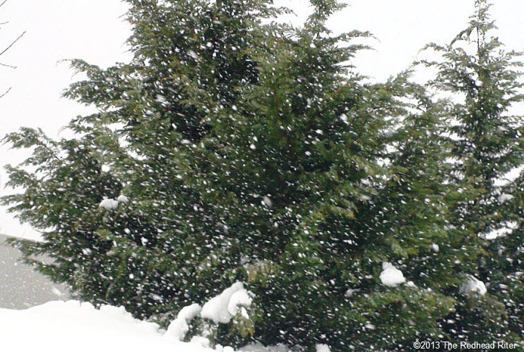 big snowflakes deep snow richmond virginia