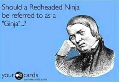 humor redhead ninja ginja