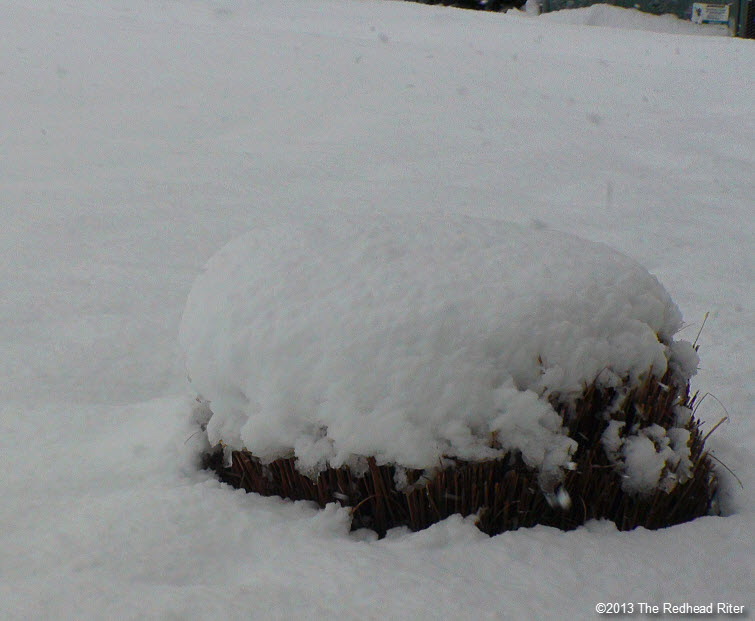 march 2013 snow in richmond virginia