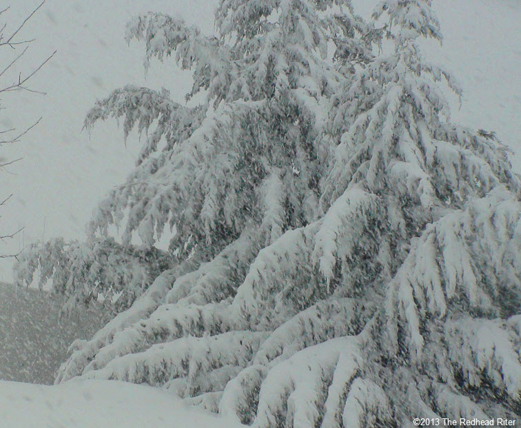 snow snow snow richmond virginia