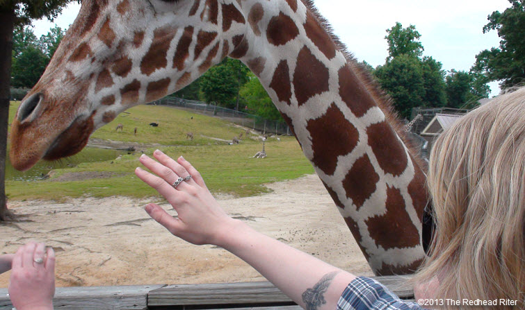 Metro Richmond Zoo  Alyssa petting Giraffe