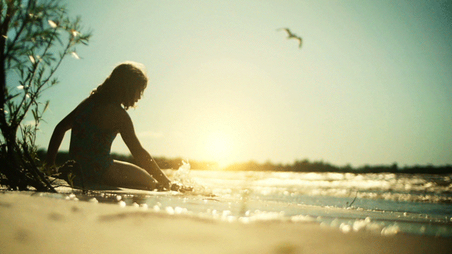 cinemagraph animated ocean beach sunset