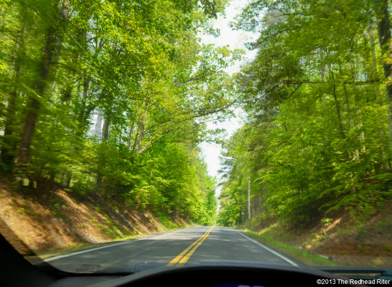 interstate hair cut sunny green forest windshield