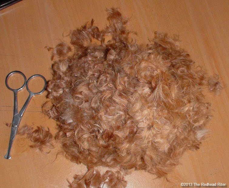 big pile of red poodle fur with scissors