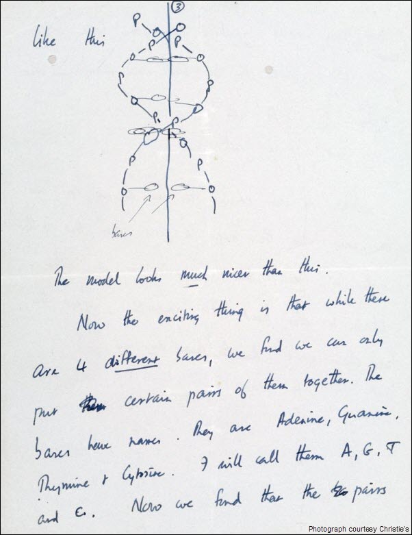 Francis Crick DNA Discovery Letter pg 3