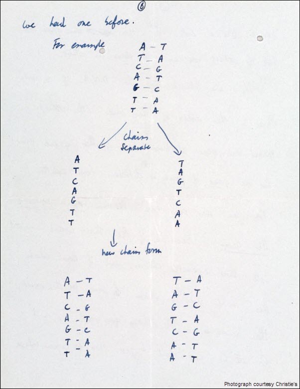 Francis Crick DNA Discovery Letter pg 6
