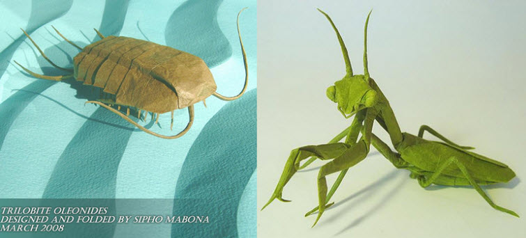 origami artist mobano origami bug praying mantis