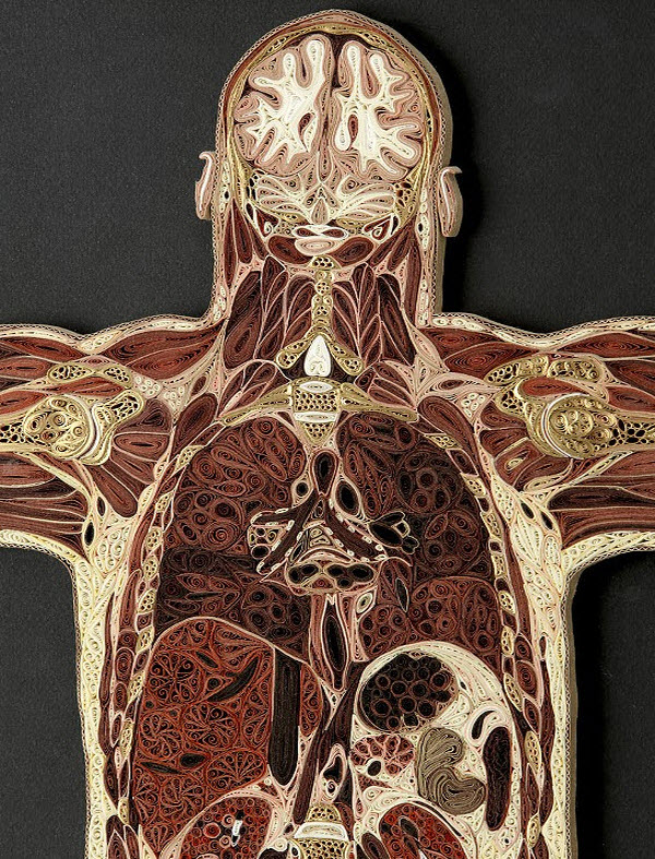 A detail of Coronal Man showing the head and thorax