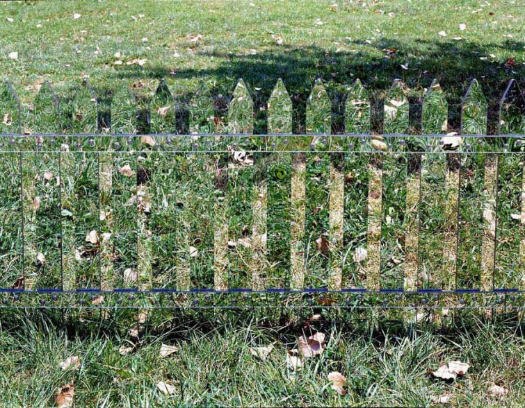 Alyson Shotz mirror fence grass leaves