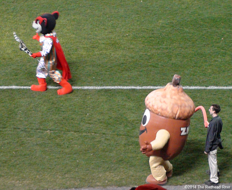 12 flying squirrel and zinger acorn nut mascot opening night