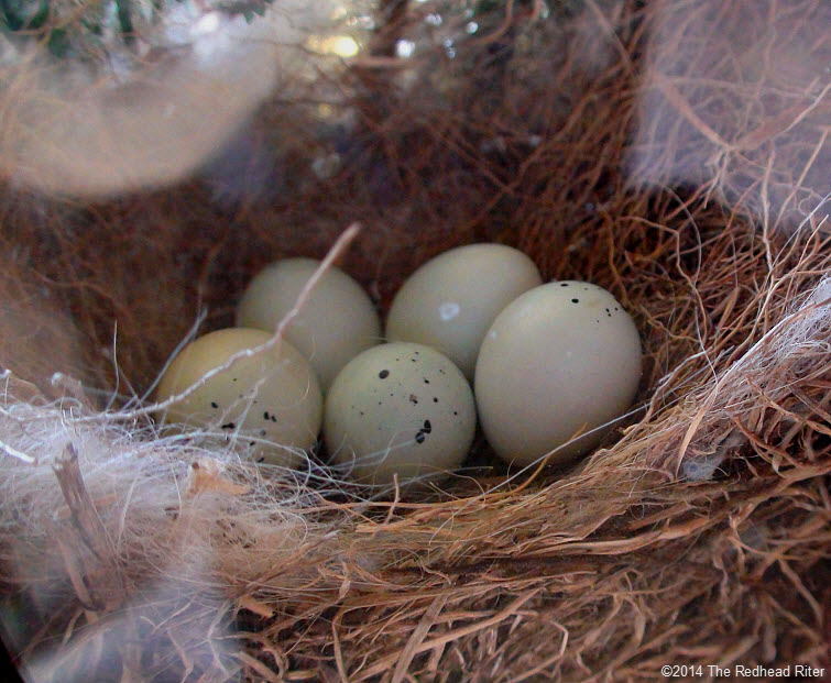 bird eggs in nest in wreath Survival Success
