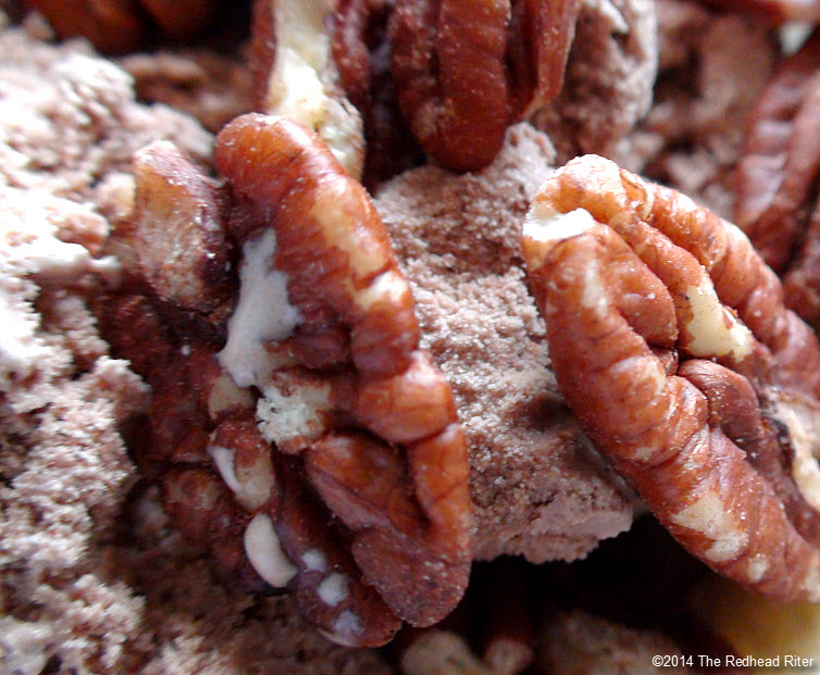 17 Facts About Pecans raw