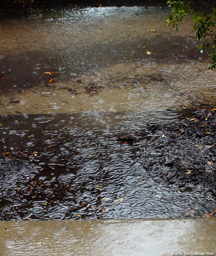 pouring rain ripples in puddle