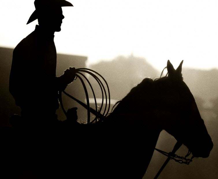 cowboy silhouette on horse