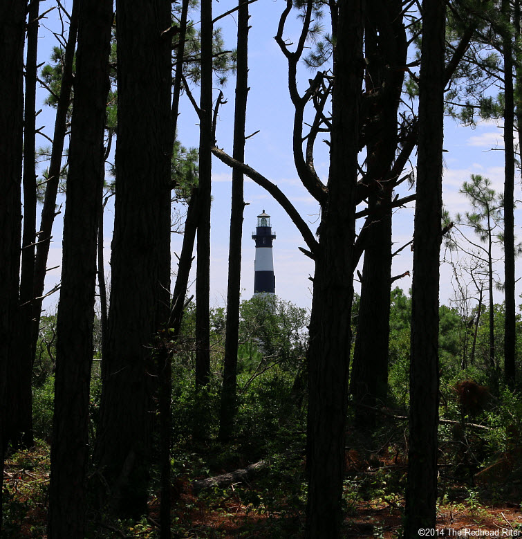 Bodie Island Lighthouse, Nags Head, NC forest tall