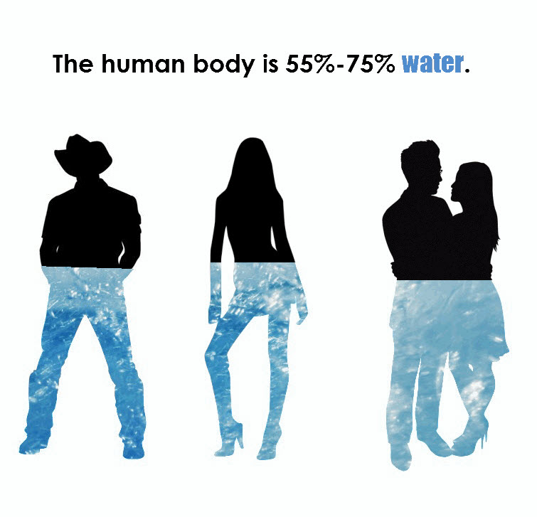 staying balanced human body is mostly water