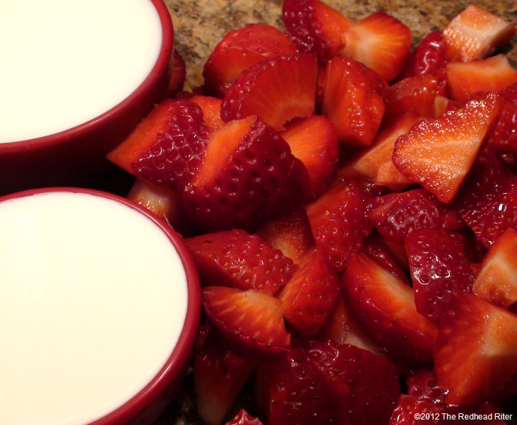 Strawberry Milkshake by Cate Wurtz