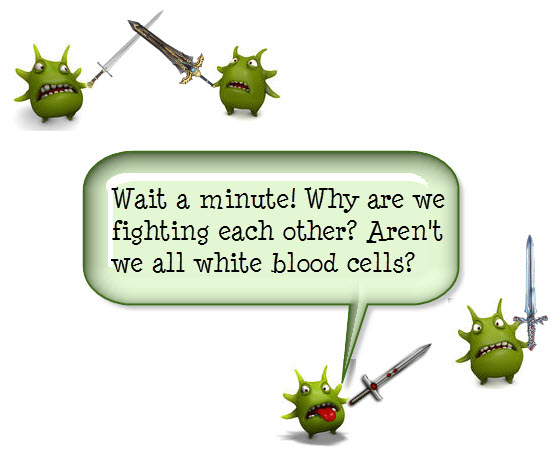 white blood cells fighting each other
