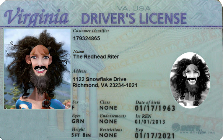 virginia drivers license dont smile