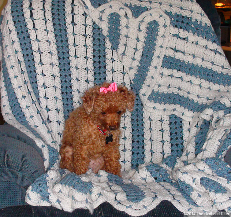 crocheted afghan blue white bella red poodle bow